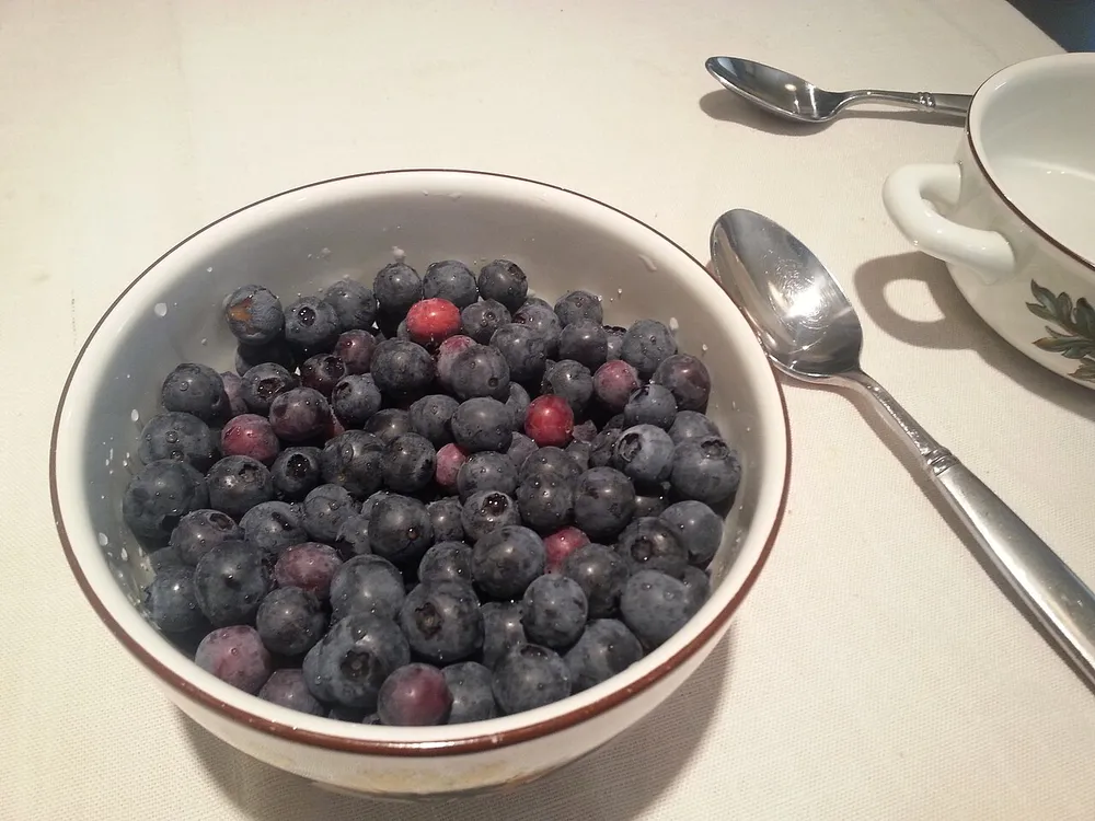 Frisch gewaschene Heidelbeeren in einer weißen Schale