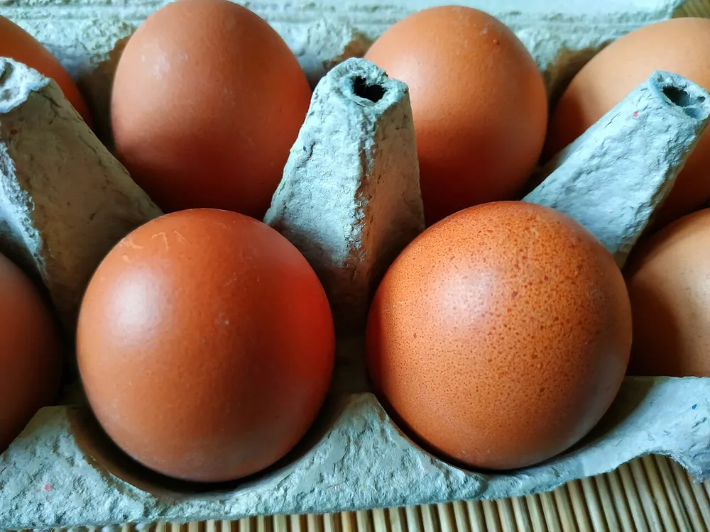 Braune Hühnereier in einem geöffneten Eierkarton