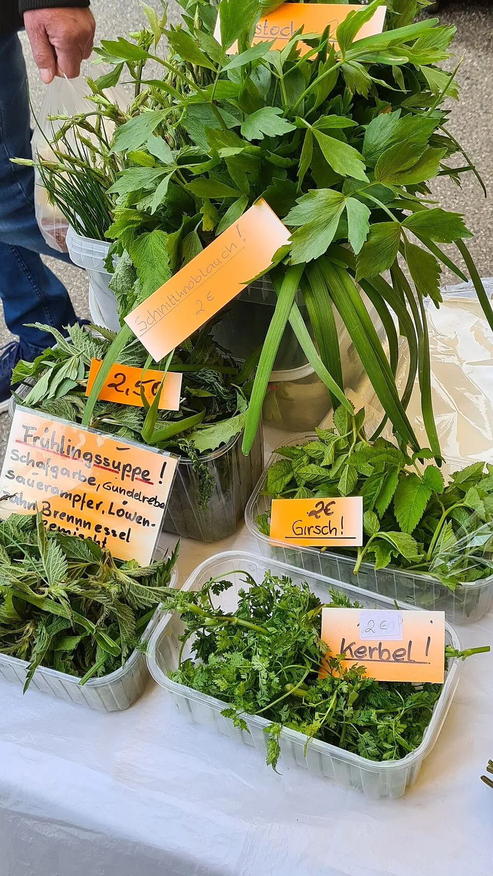 Kräuterhändler auf dem Wochenmarkt – frische Wildkräuter aus der Region, direkt vom Sammler