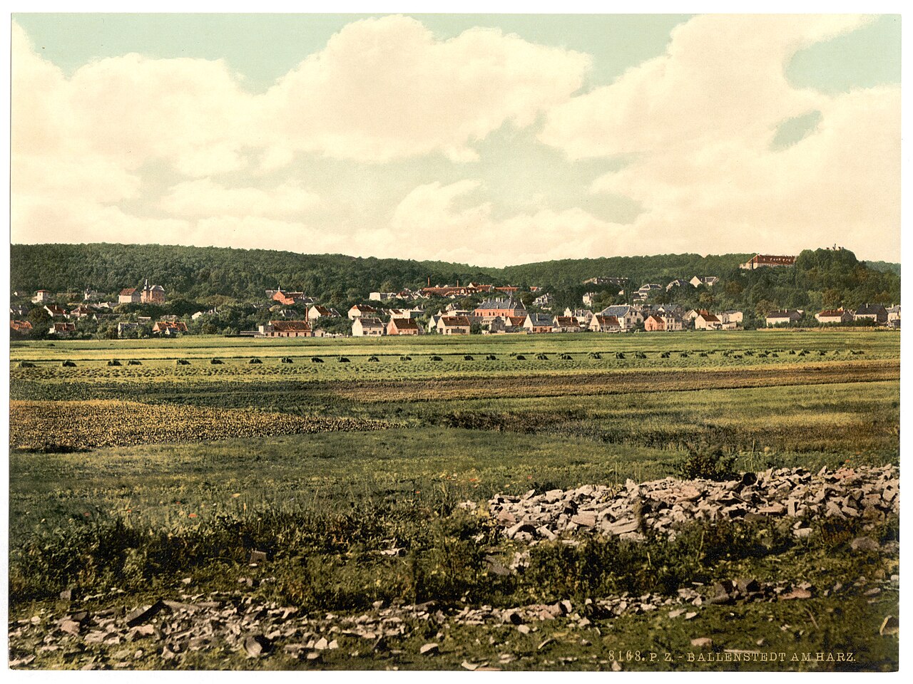 Ballenstedt Stadtansicht