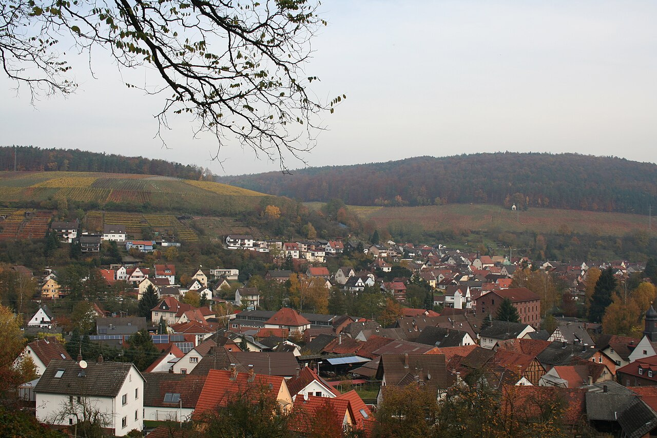 Elsenfeld Stadtansicht