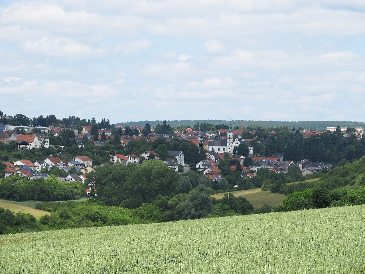 Ensheim Stadtansicht