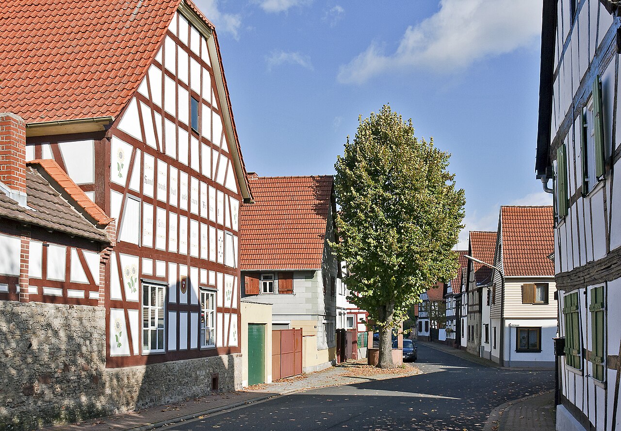 Erlensee Stadtansicht