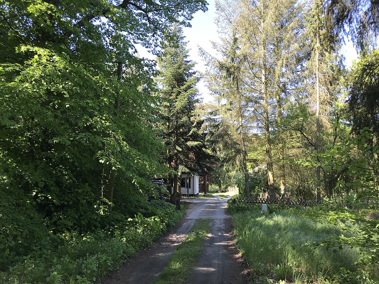 Lenzburg Stadtansicht