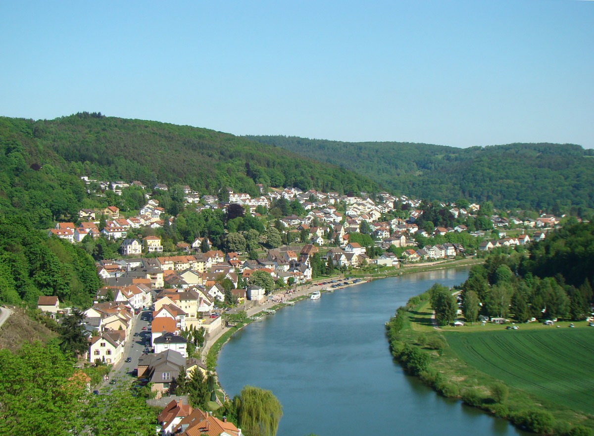 Neckarsteinach Stadtansicht