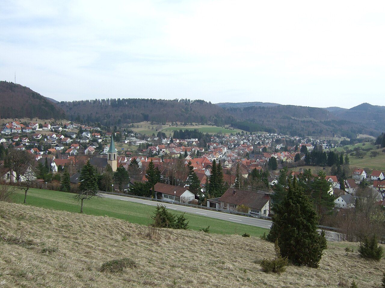 Pfeffingen Stadtansicht
