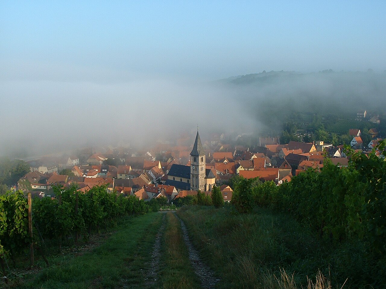 Randersacker Stadtansicht
