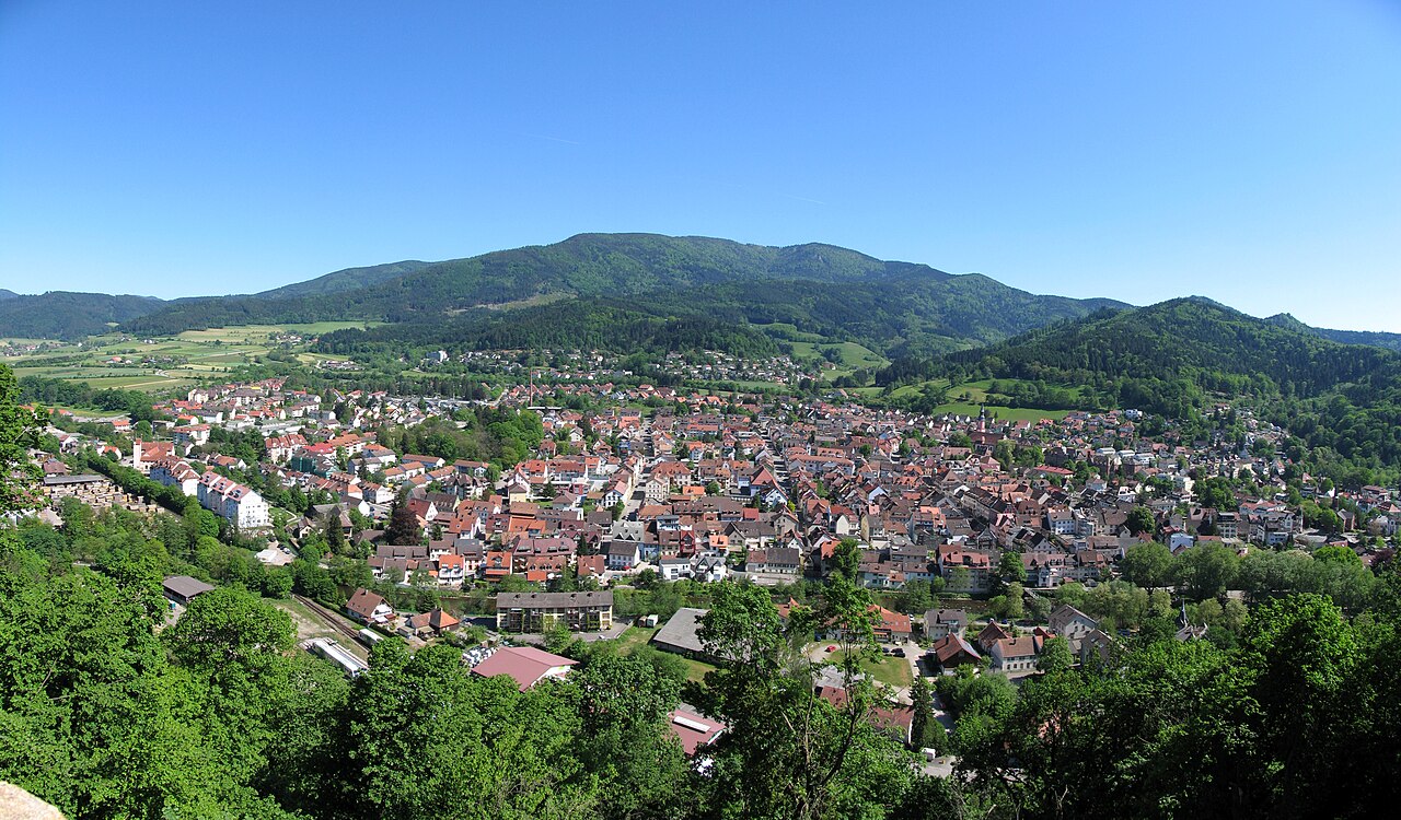 Waldkirch Stadtansicht