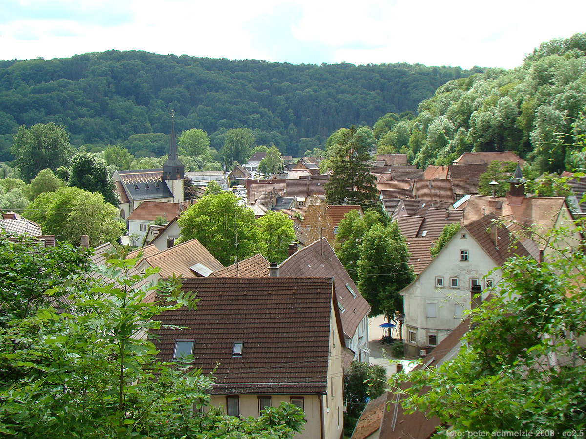 Widdern Stadtansicht